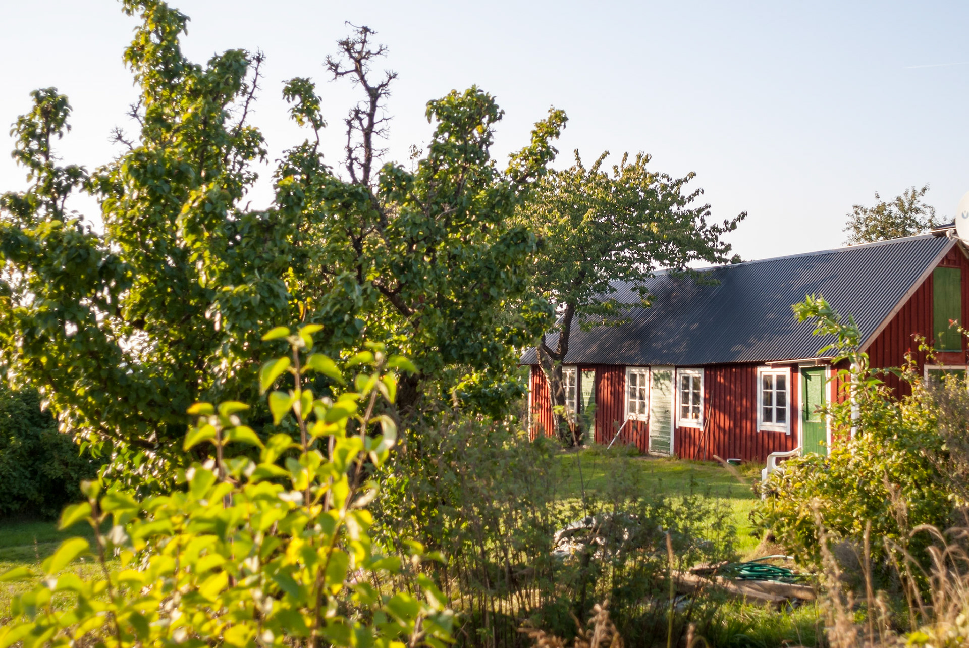 ISO 100 | 24 mm | f/2.8 | 1/800 s