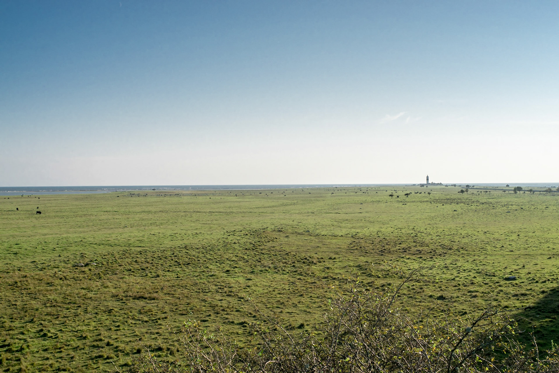 ISO 100 | 24 mm | f/8 | 1/320 s