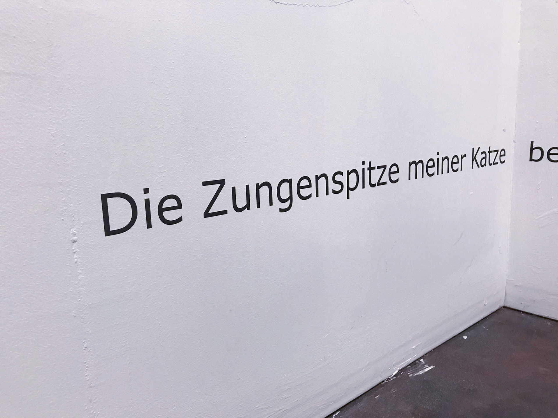 meine Katze | Detailansicht