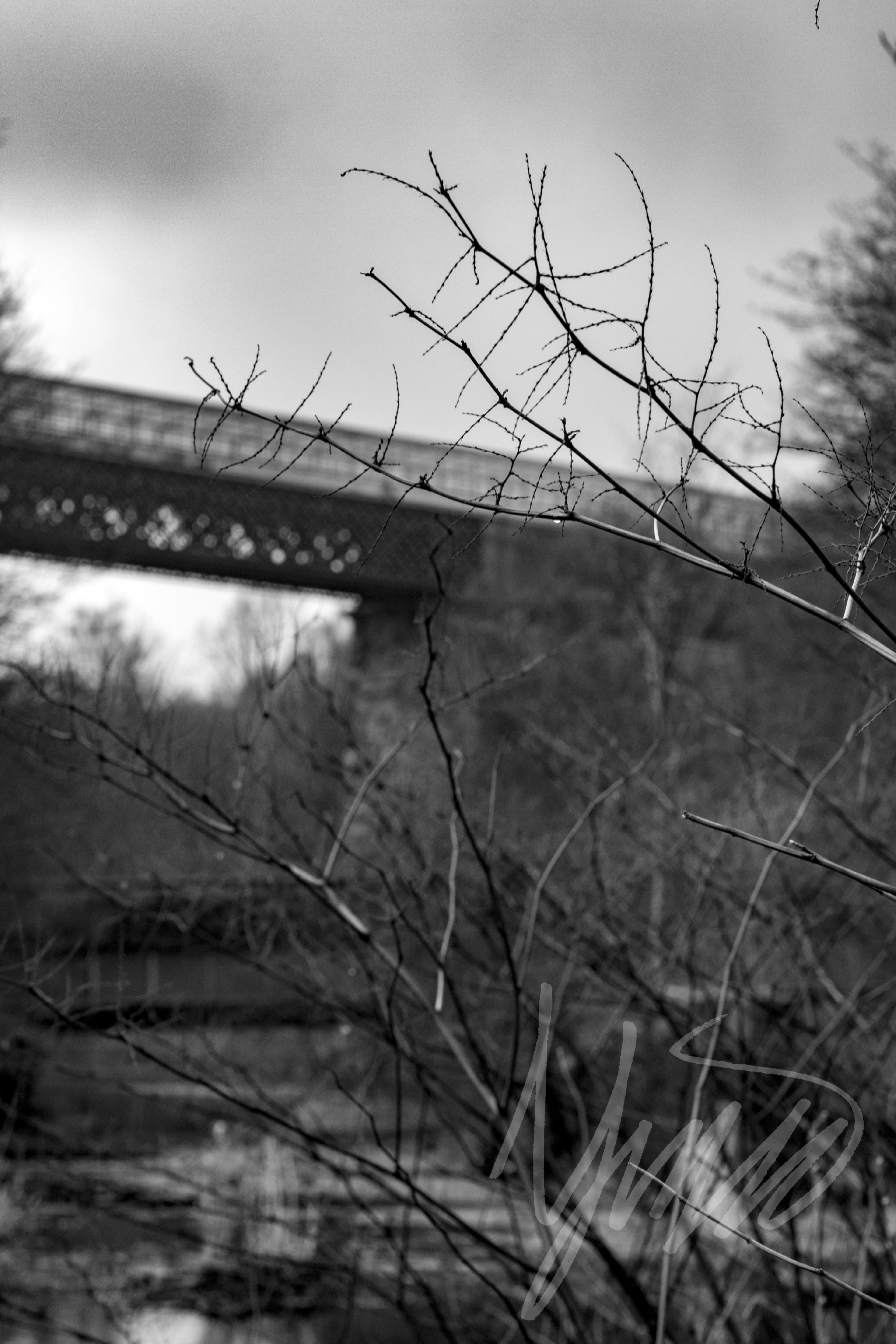 Lever Bridge Walk