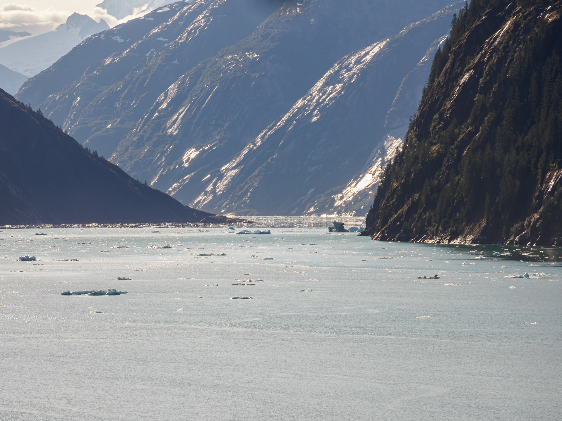 Dawes Glacier from the Celebrity Millennium