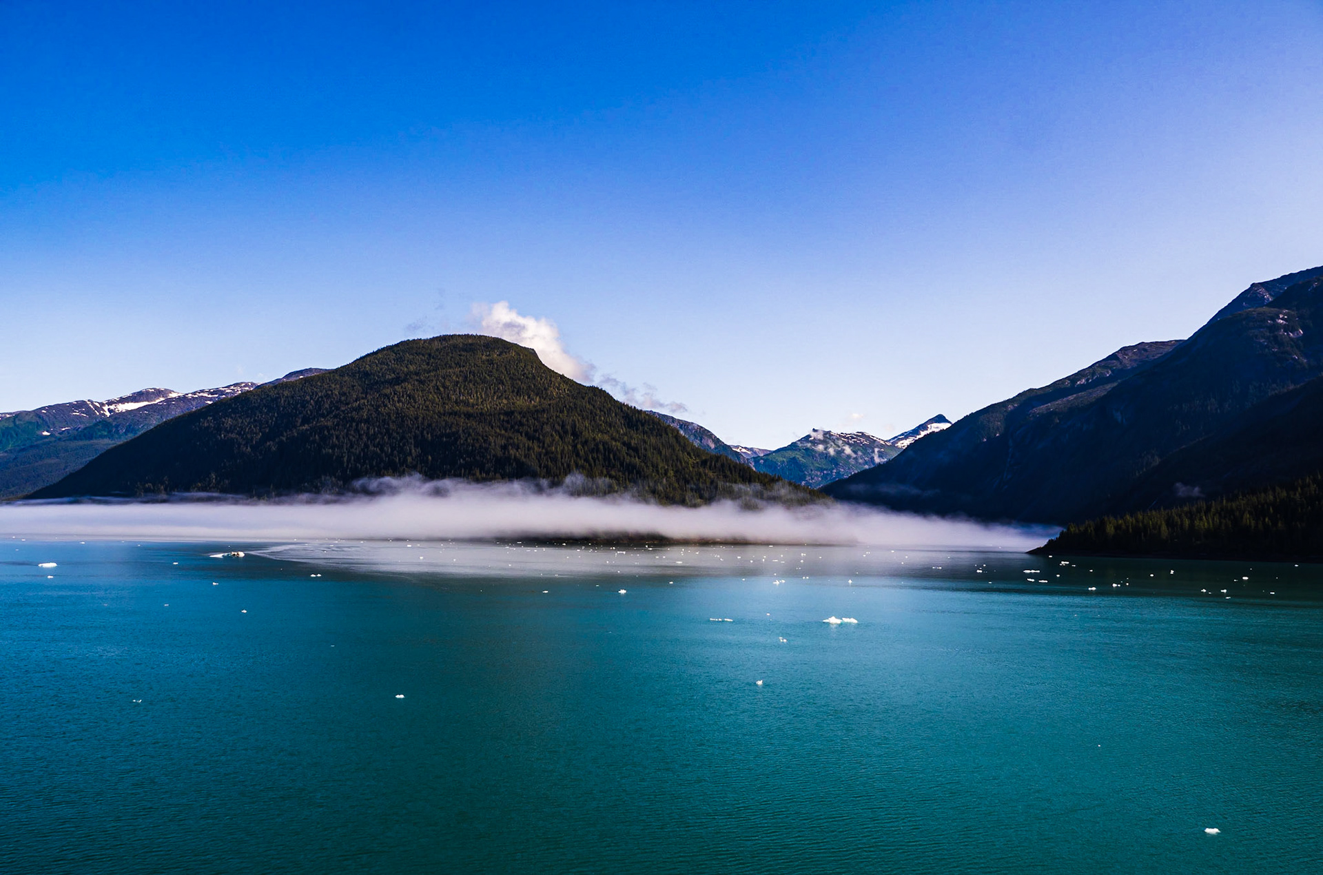 Endicott Arm Shoreline from the Celebrity Millennium