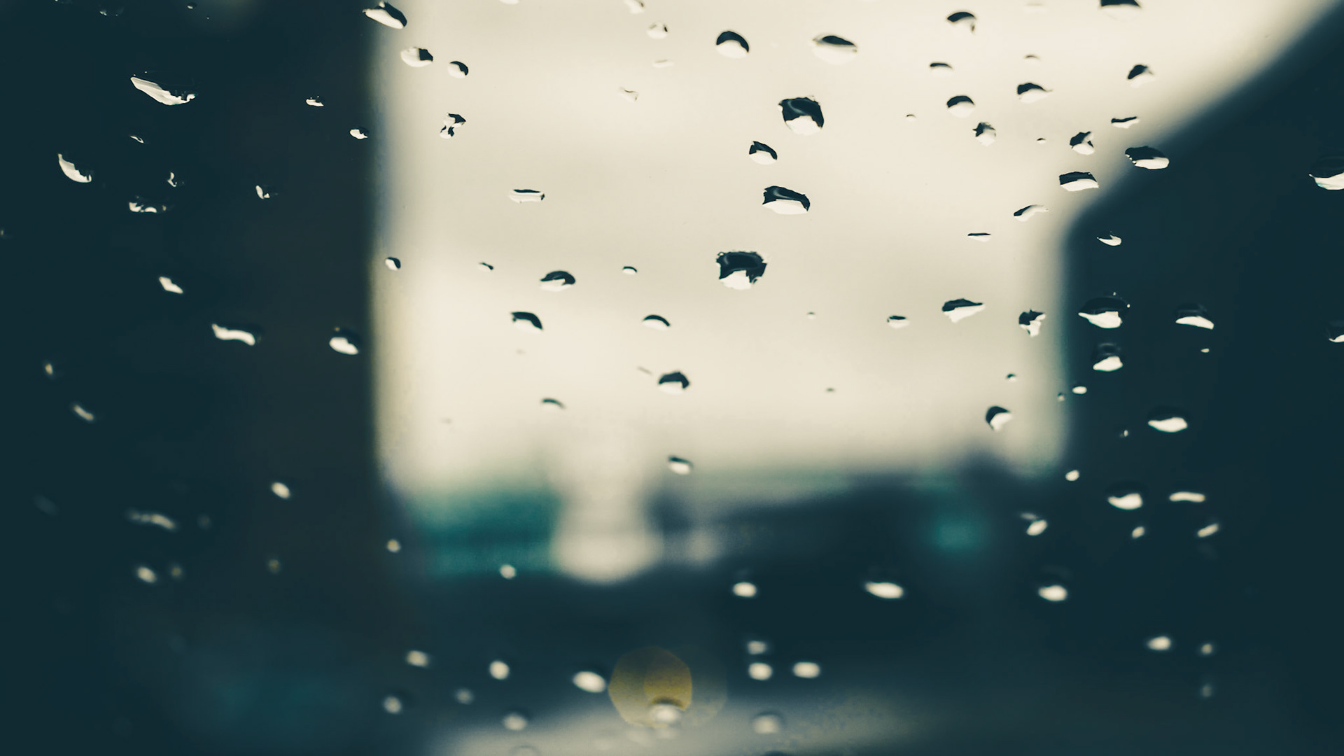 Grant Stull Photography