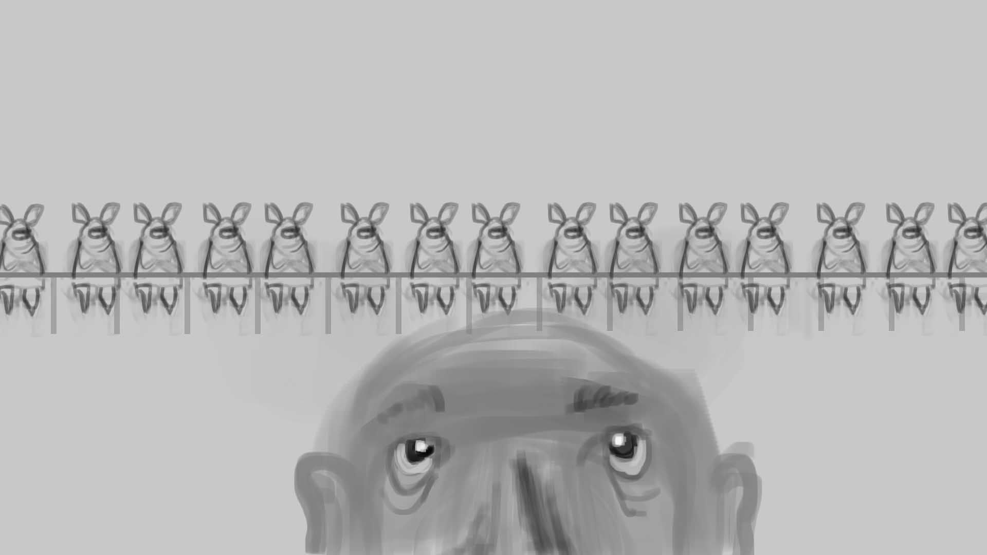 storyboard