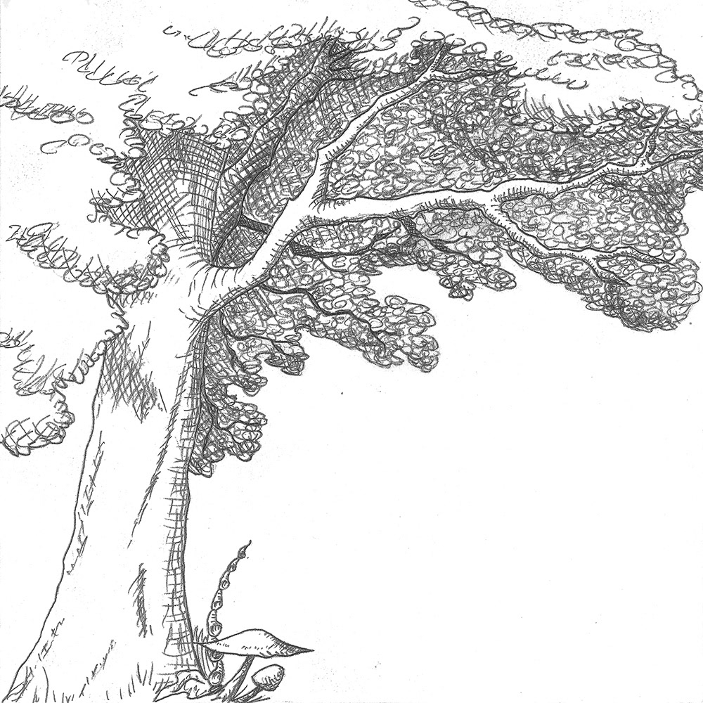 Original Art for backdrops