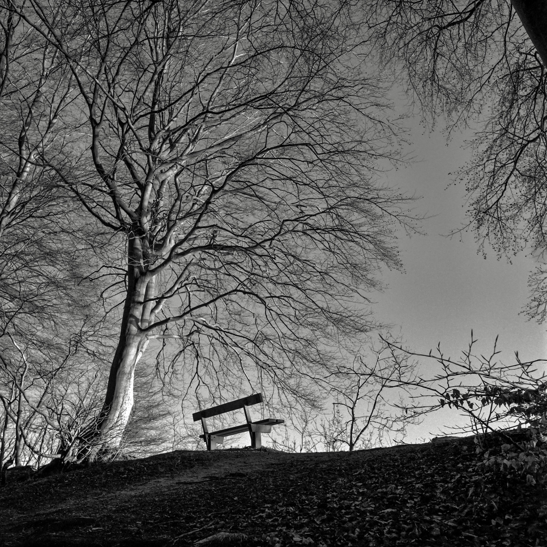 ©Kasper Pihl