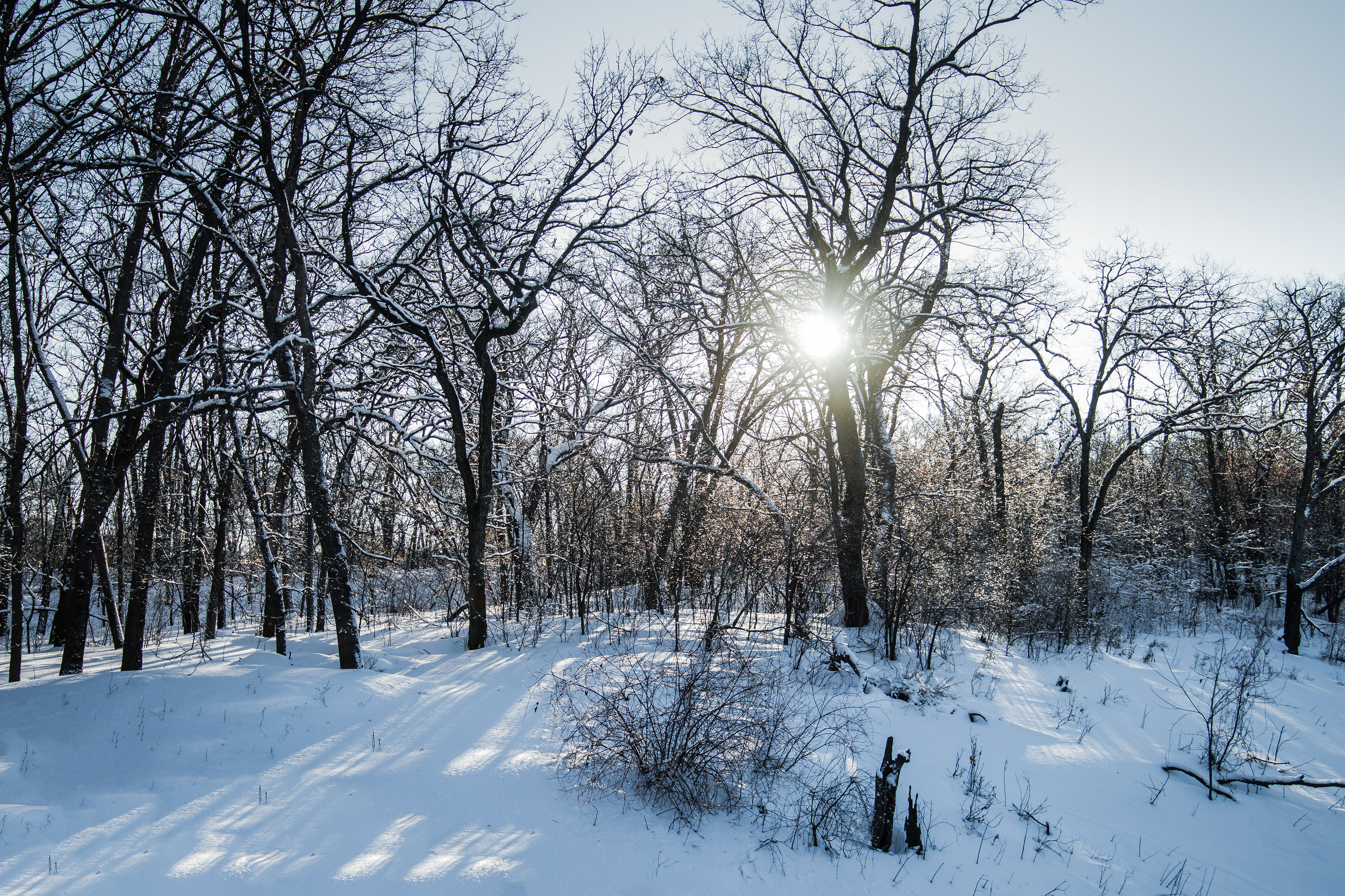 Listen too/How every pause is filled with under-notes/Clear, silver, icy, keen.