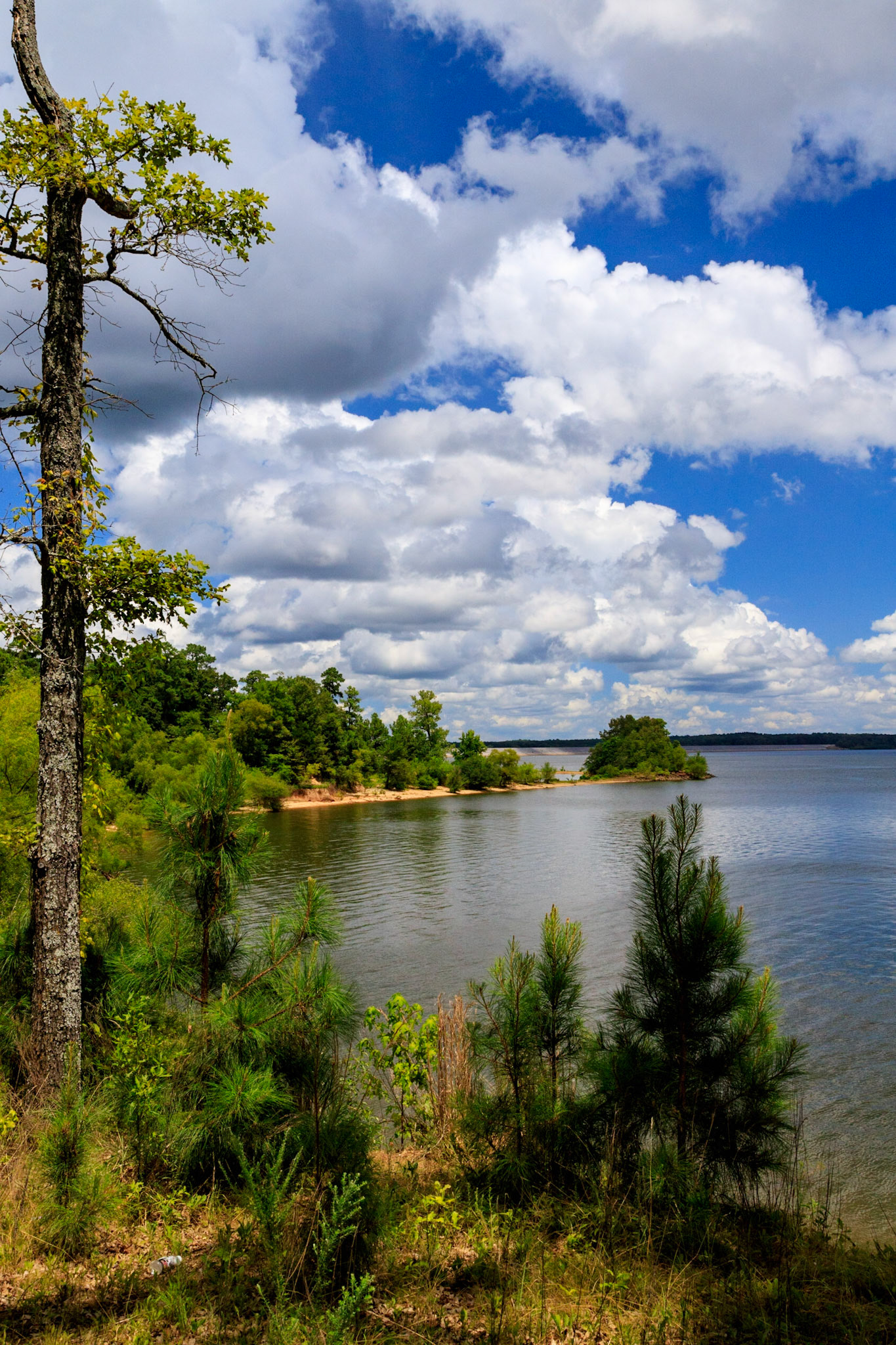 Bayou Point