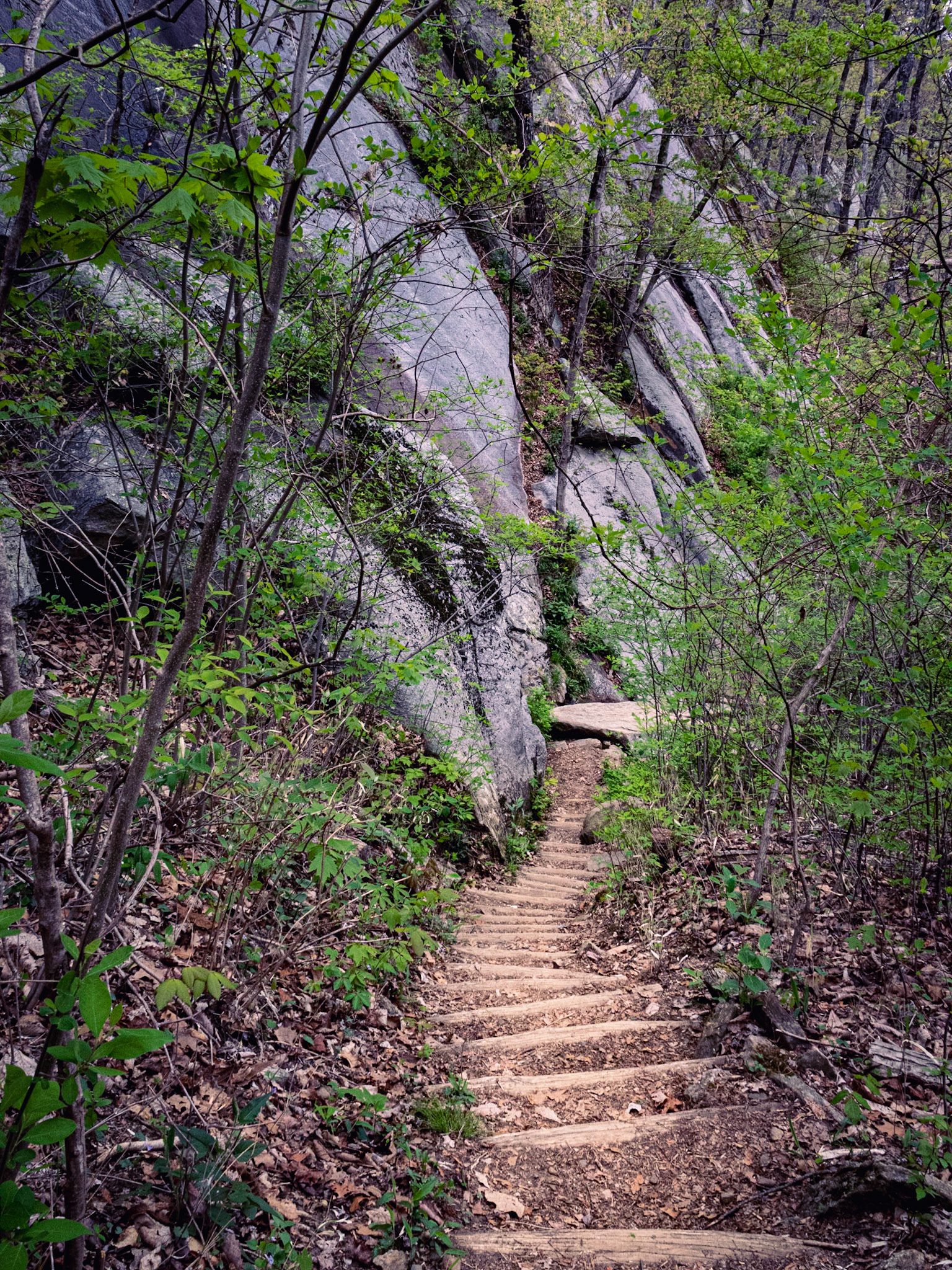More Stairs