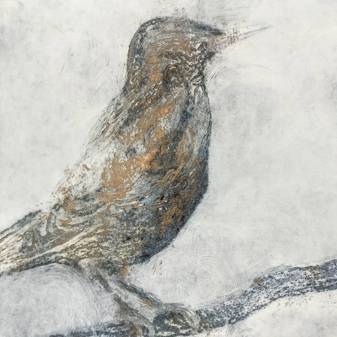 Sturnus vulgaris - carborundum method