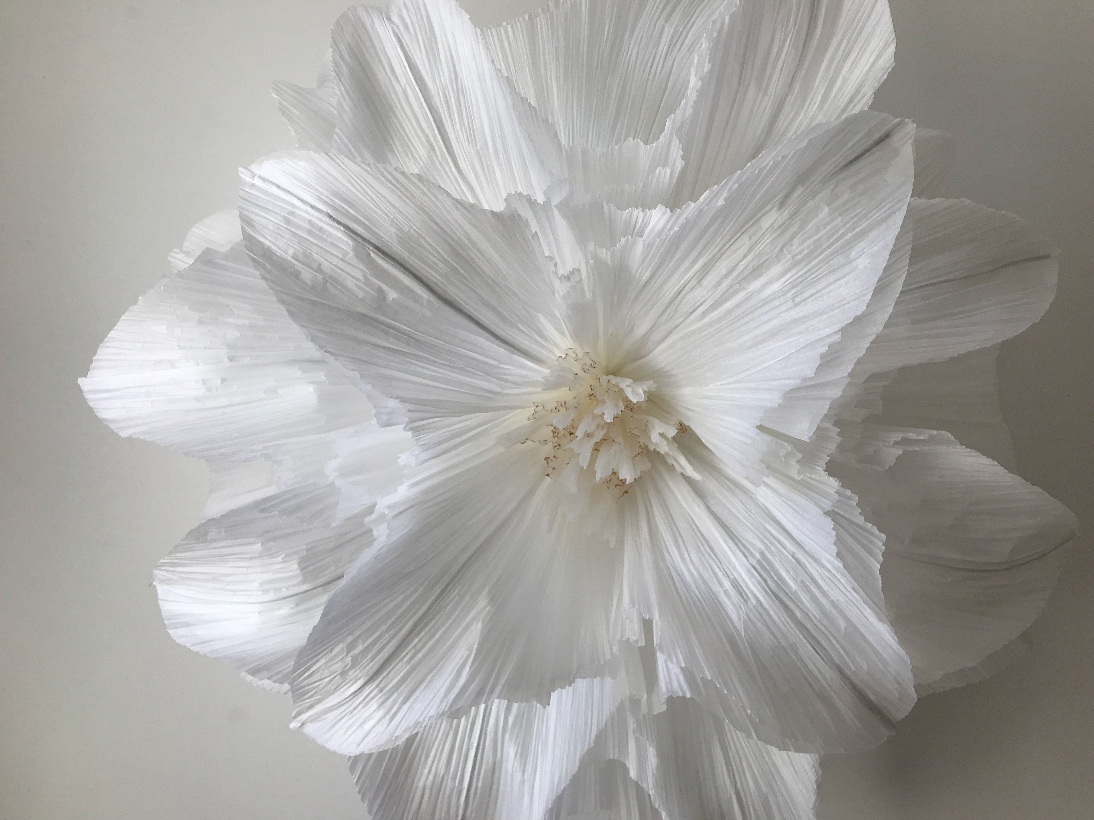 Sculpture Fleur de Lys XXL - Papier de soie - 780€ (70cm d'envergure)