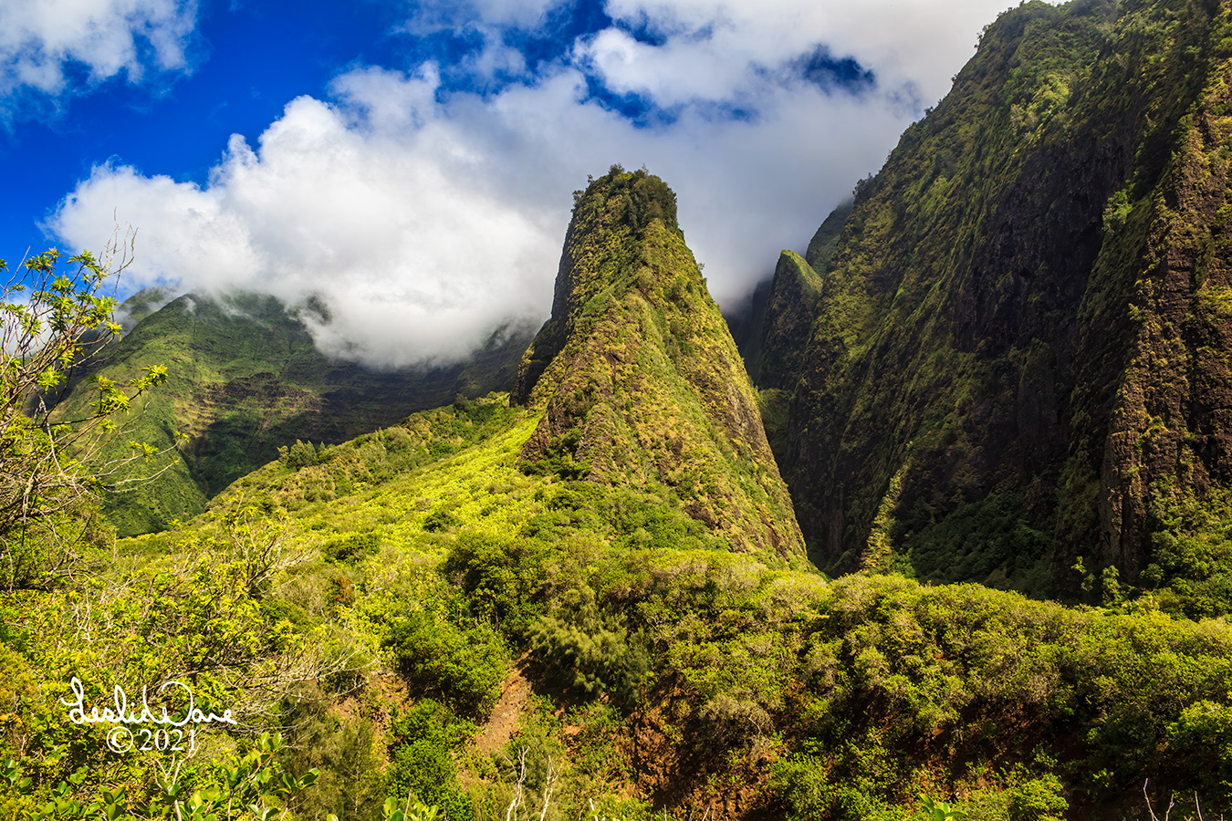 3460 'Iao needle (Kuka'emoku) in Iao Valley, Maui Hawaii
