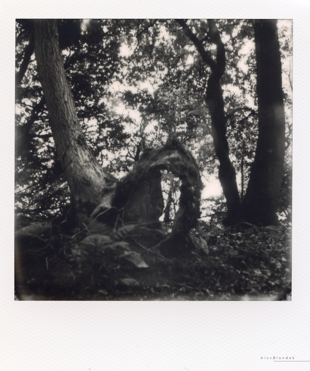 Hollowed Base - SX-70