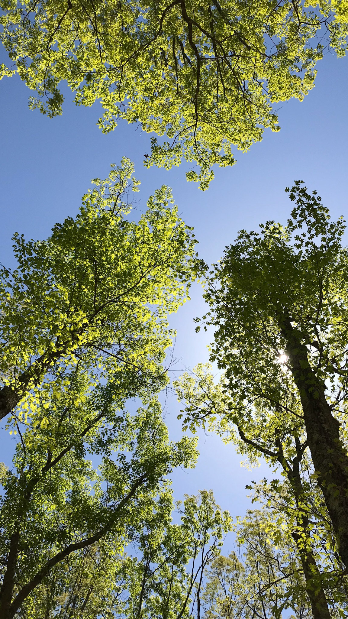 A much needed break laying on my back. (Oh and look up!)