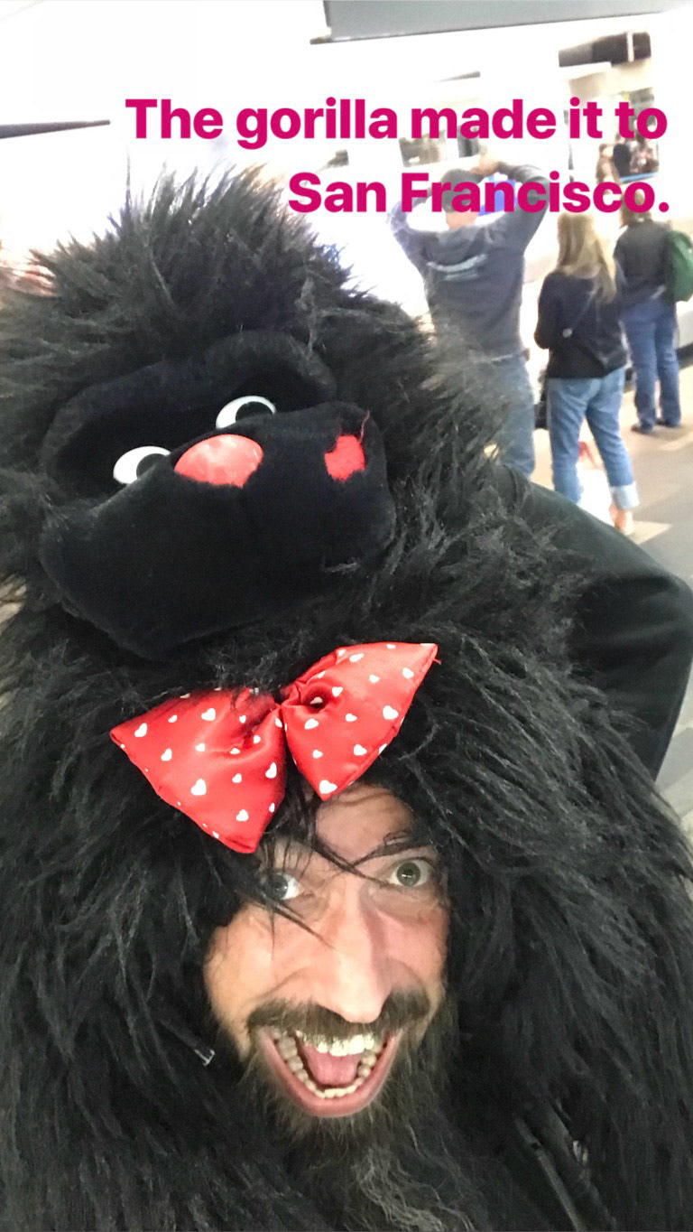 The gorilla is going home.