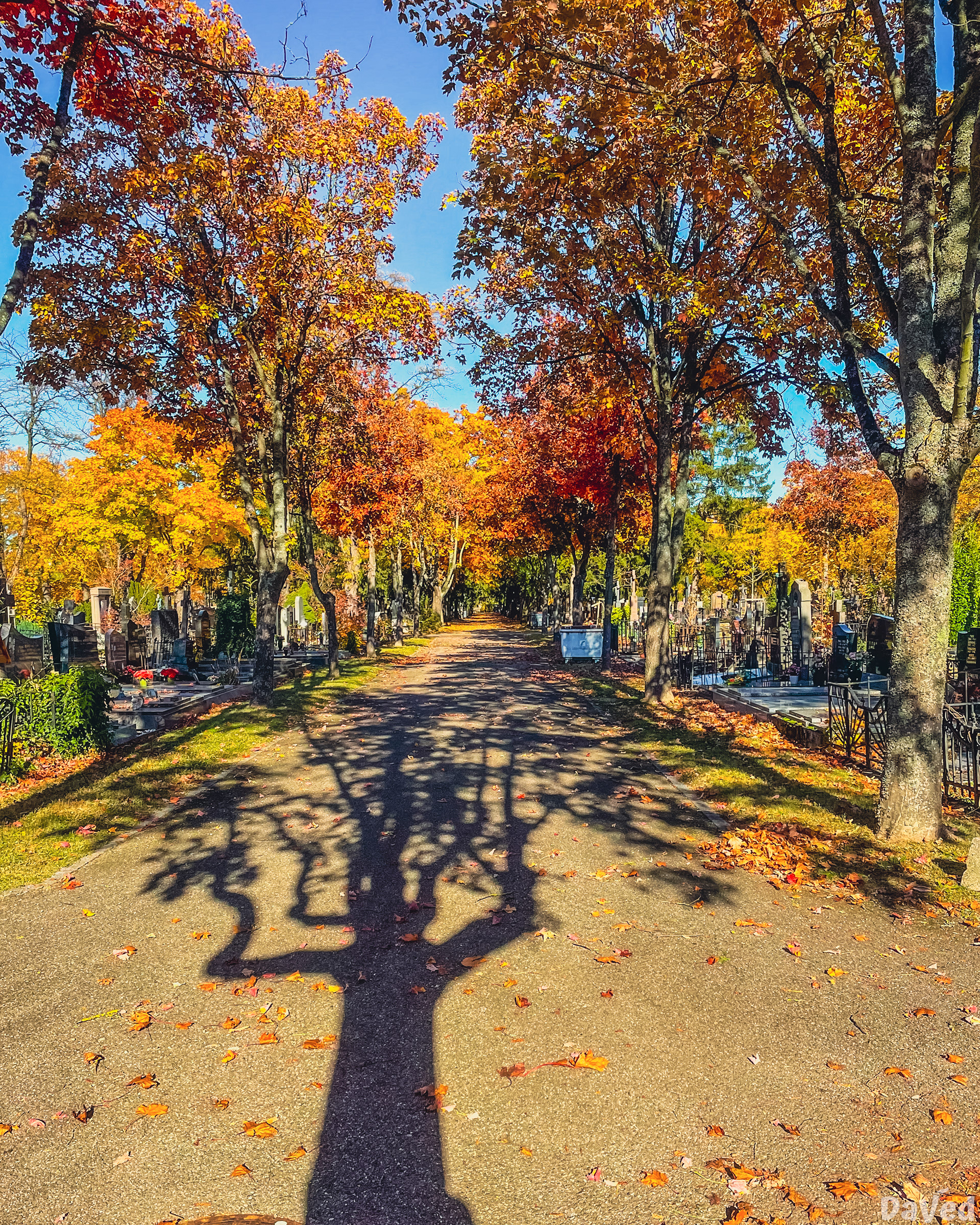 Cimetière central