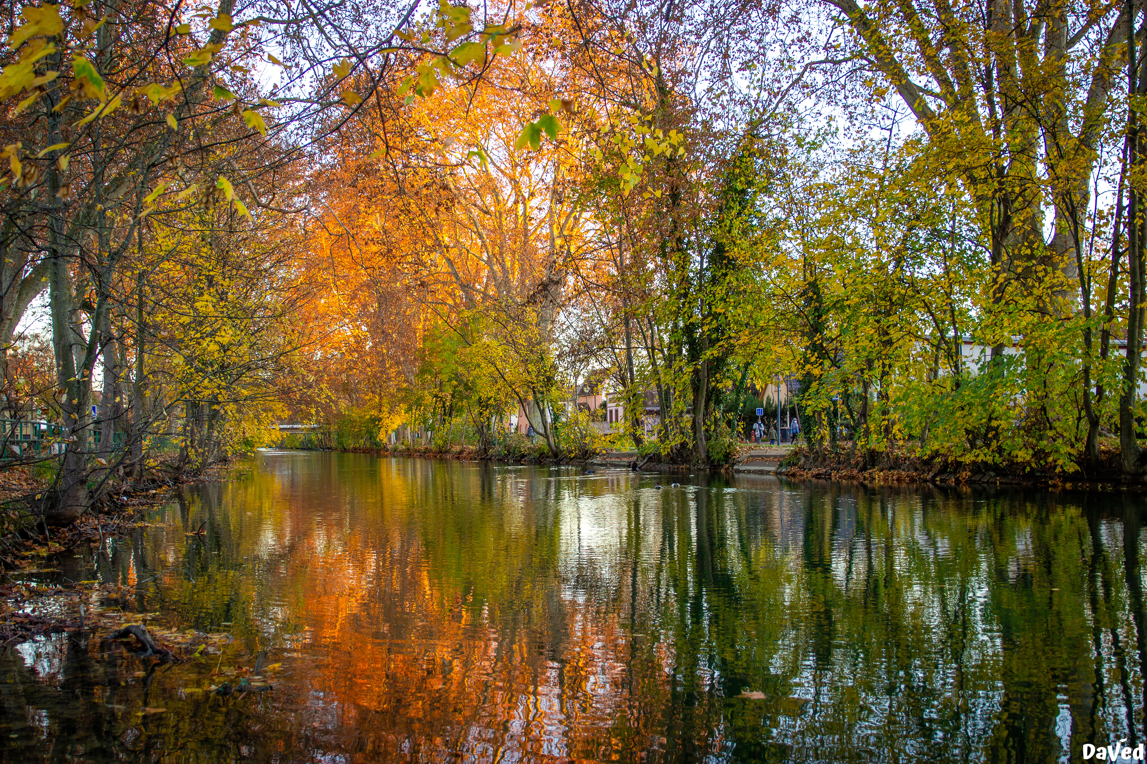 Nouveau bassin