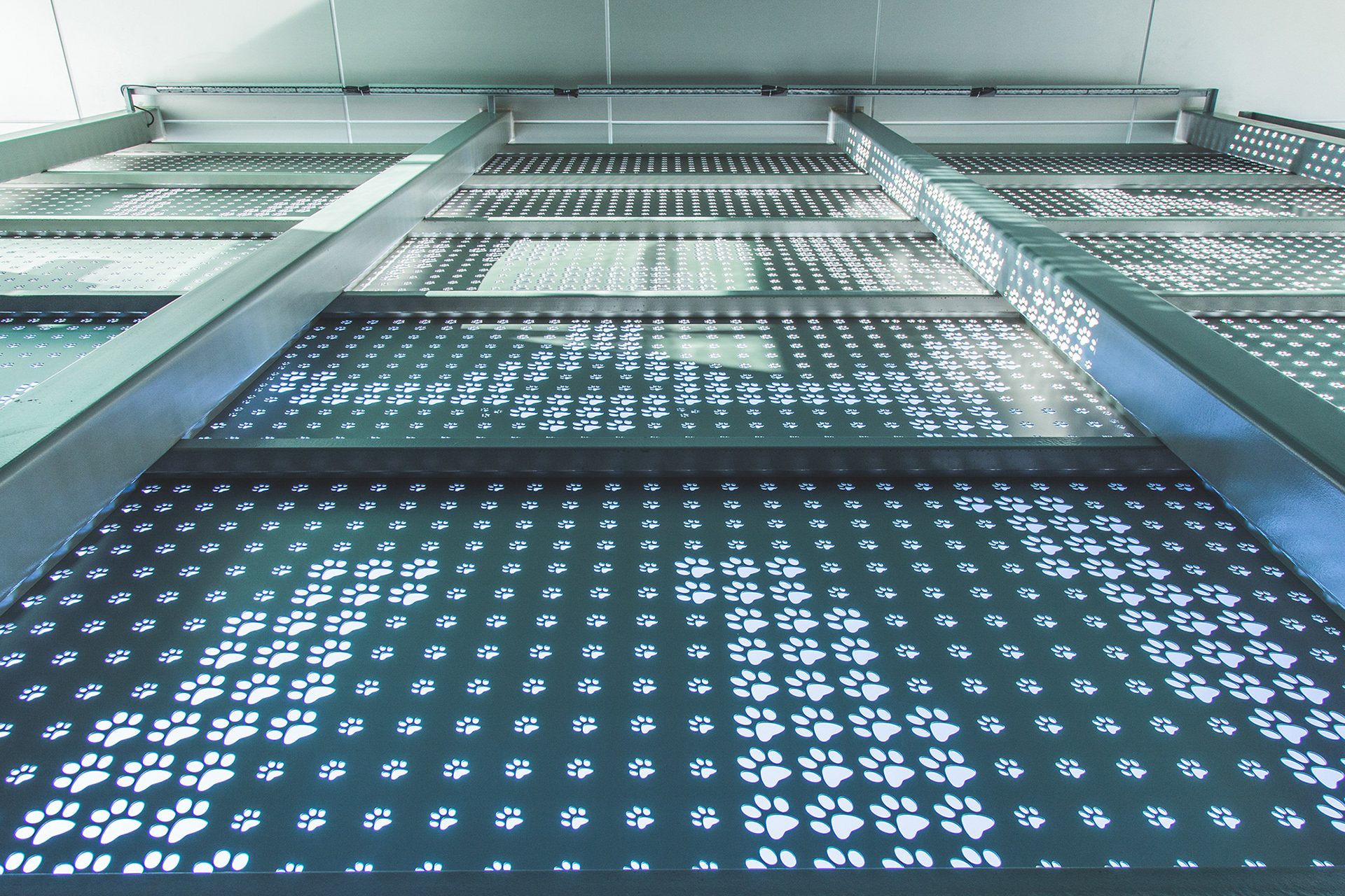 Brand Imagination Petco New Corporate Headquarters Experience