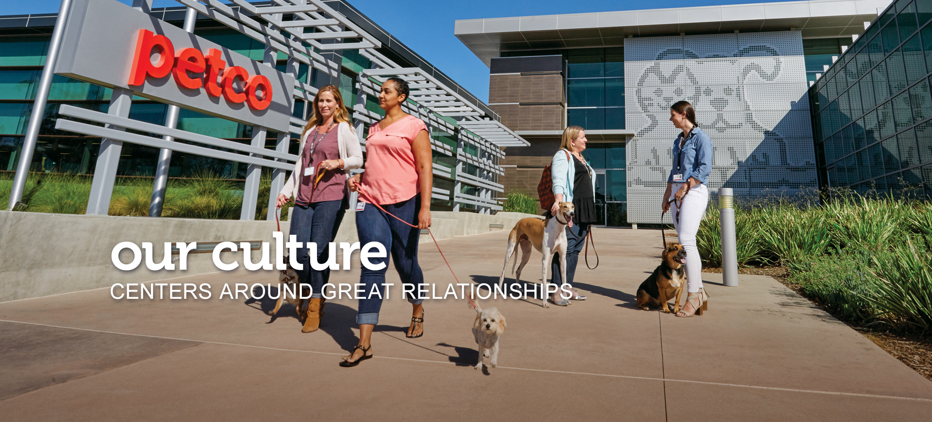 Brand Imagination Petco New Corporate Headquarters Experience