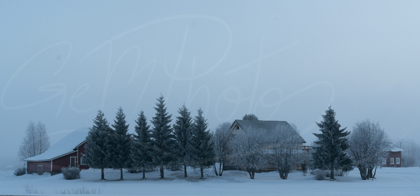 Winterscape
