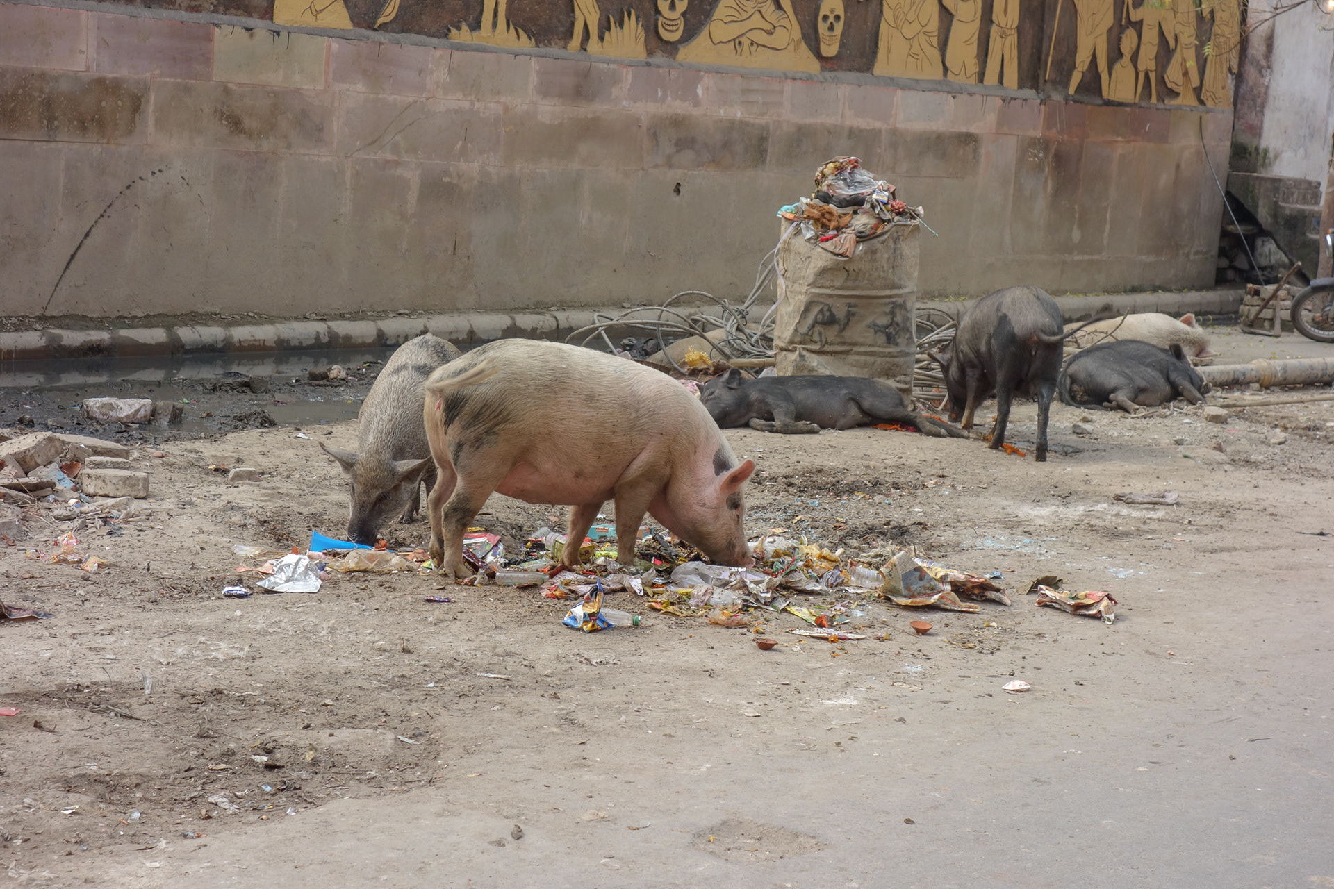 The Untouchables in Varanasi