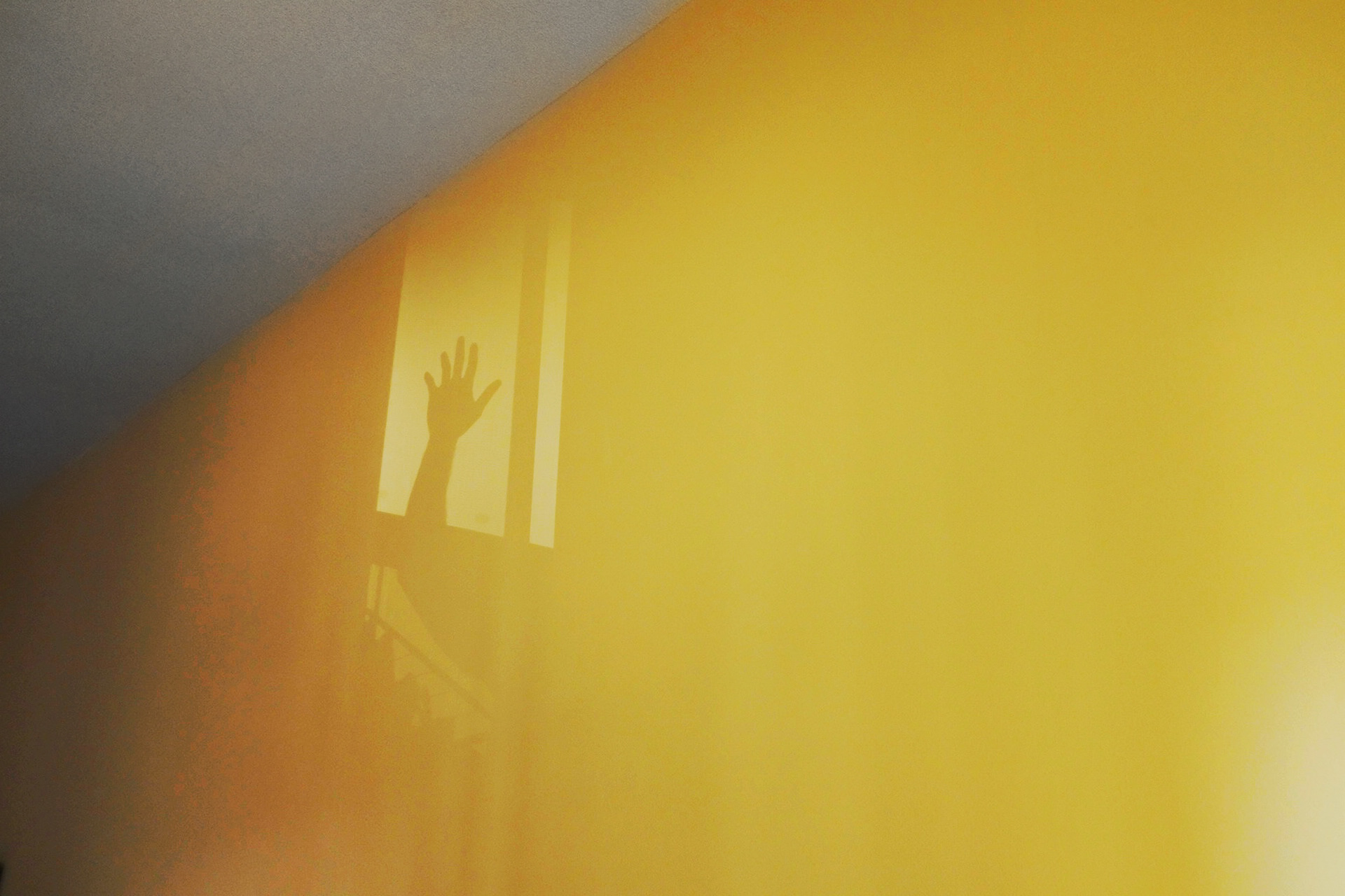 Me and A Yellow wall. Dubai, 2018