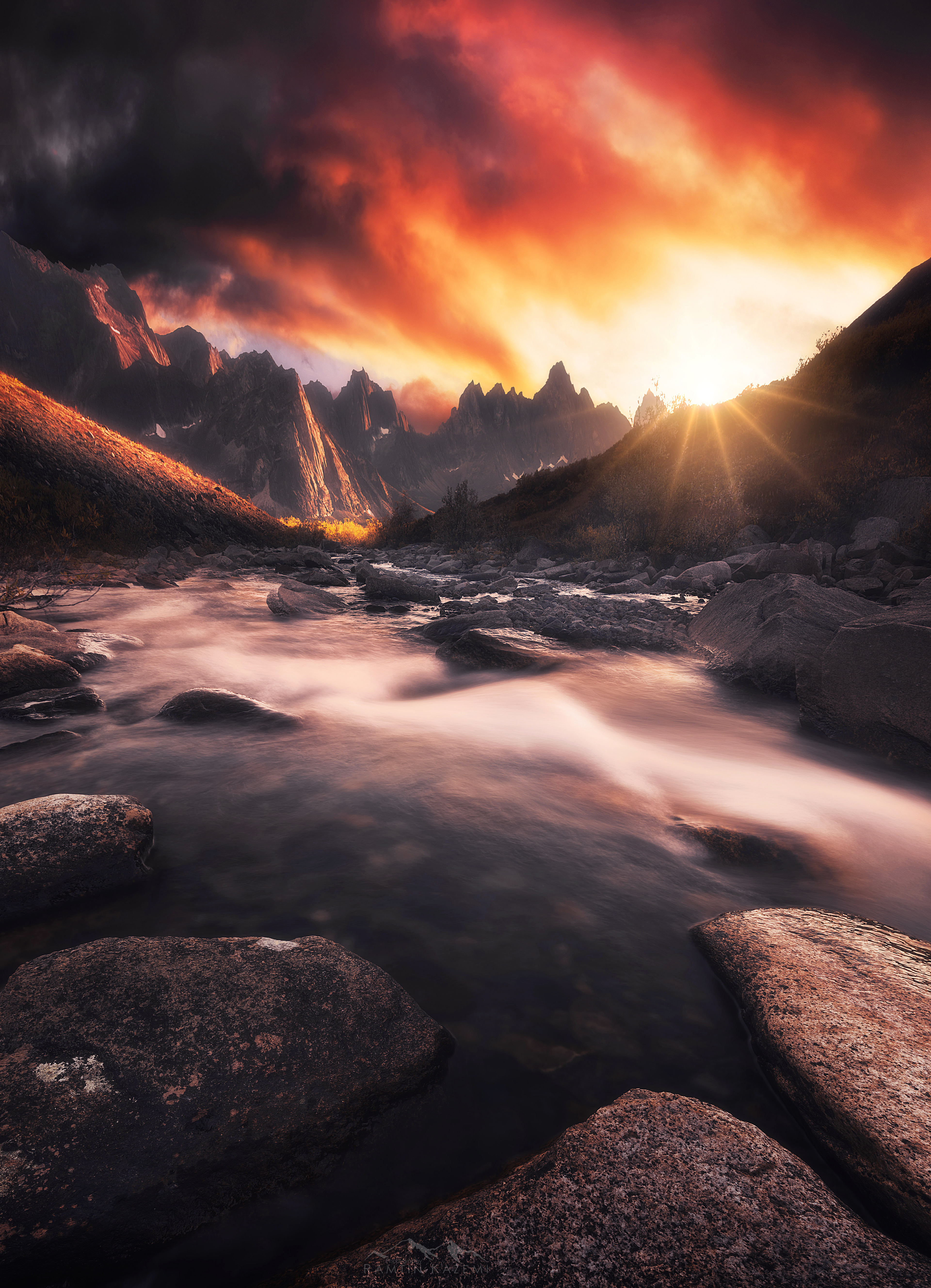 Rive of Life