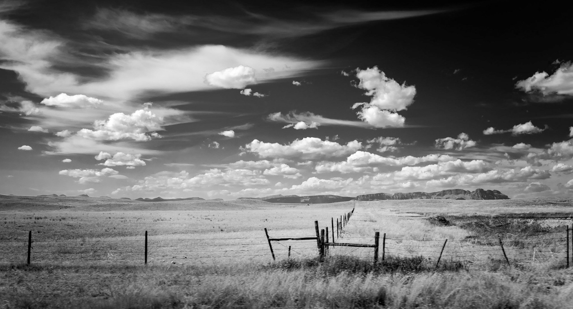 On the road to Yellowstone in Montana
