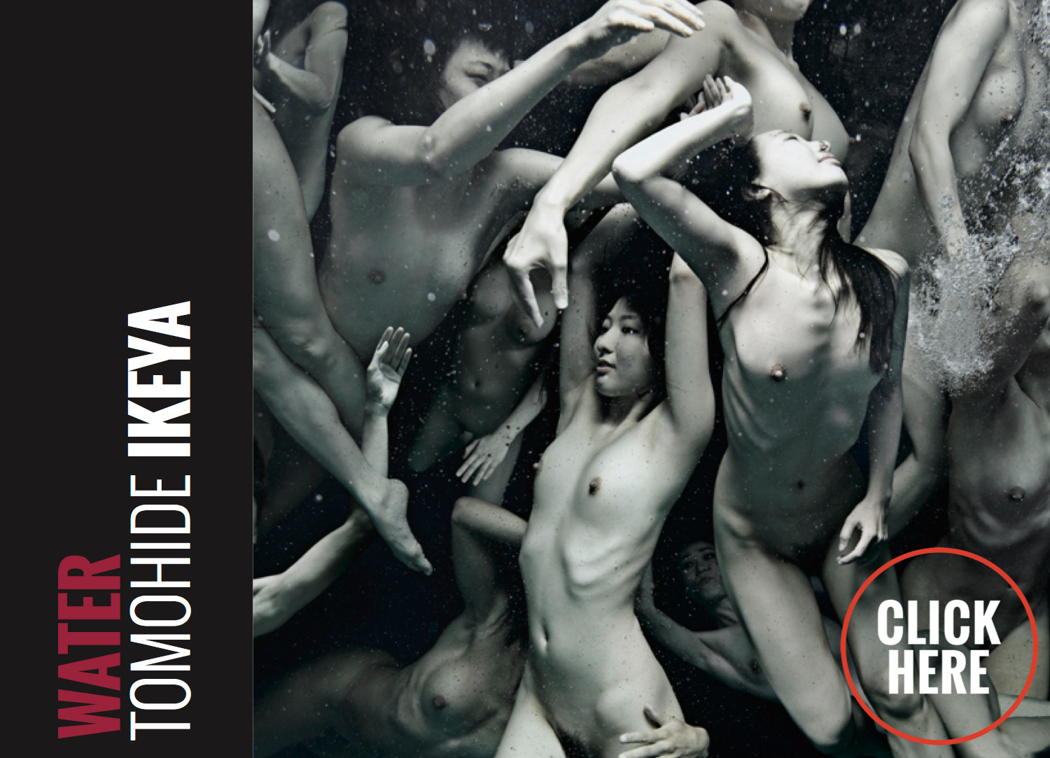 dodho magazine issue12