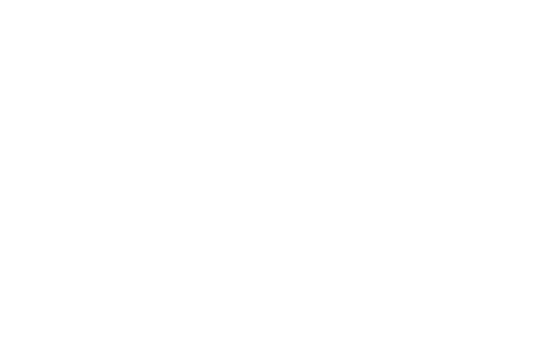 Egon de Regt