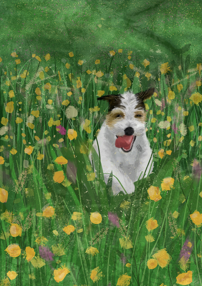 Tobi