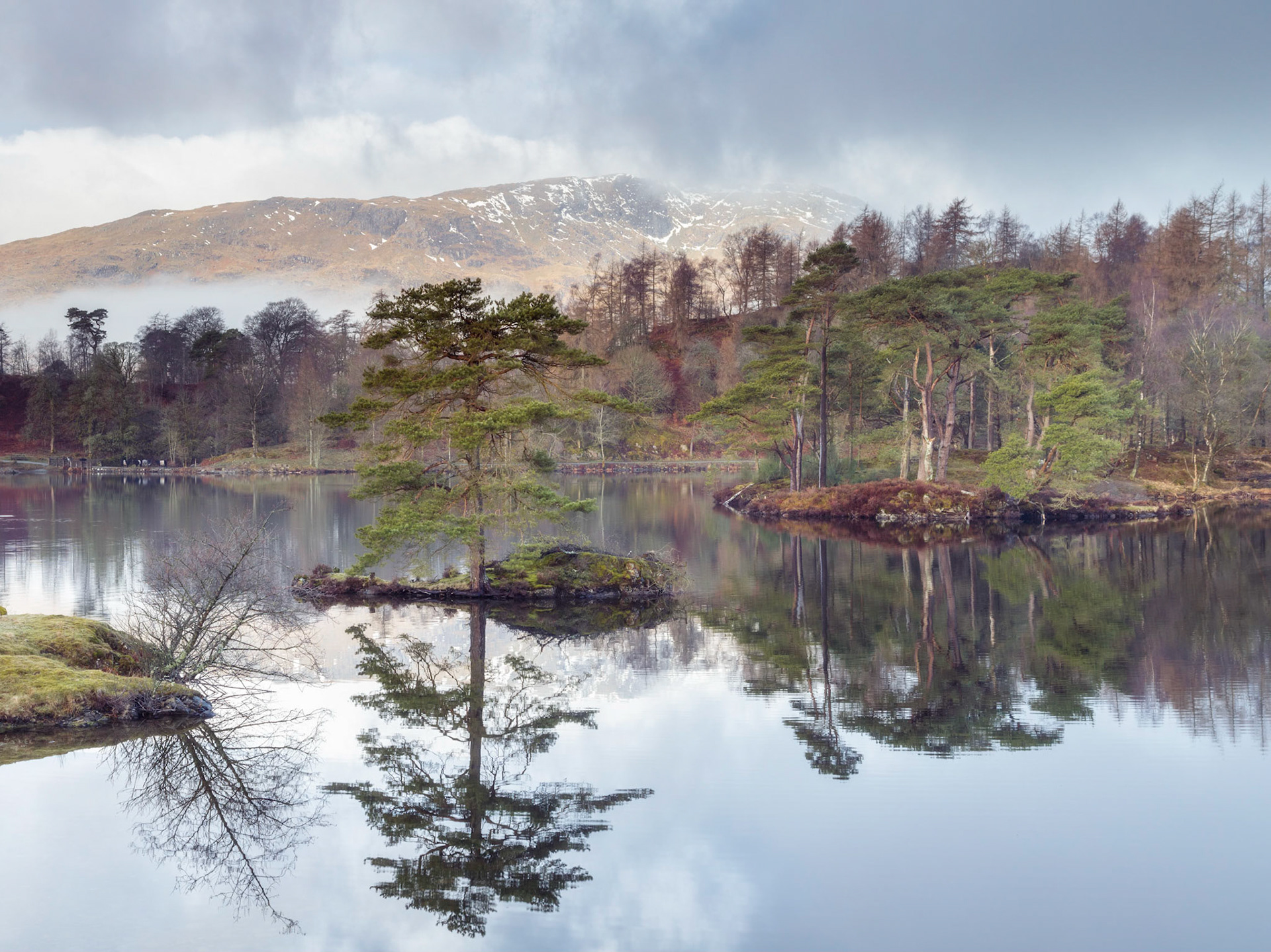 Reflections. Tarn Hows.