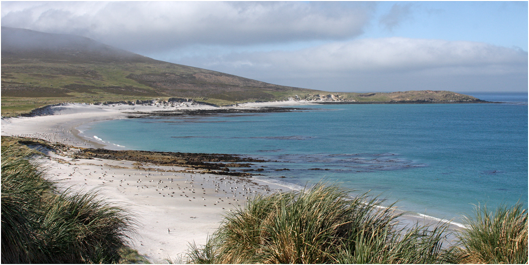 Leopard Beach, Carcass Island
