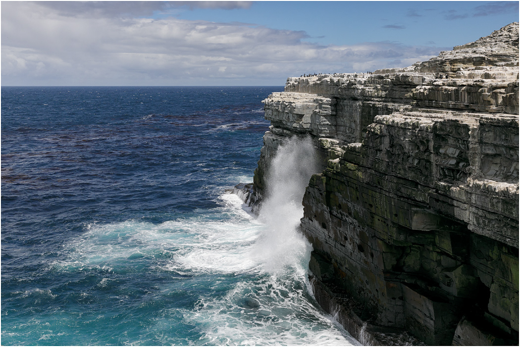 67' high cliffs at Rockhopper Point, Sea Lion Island