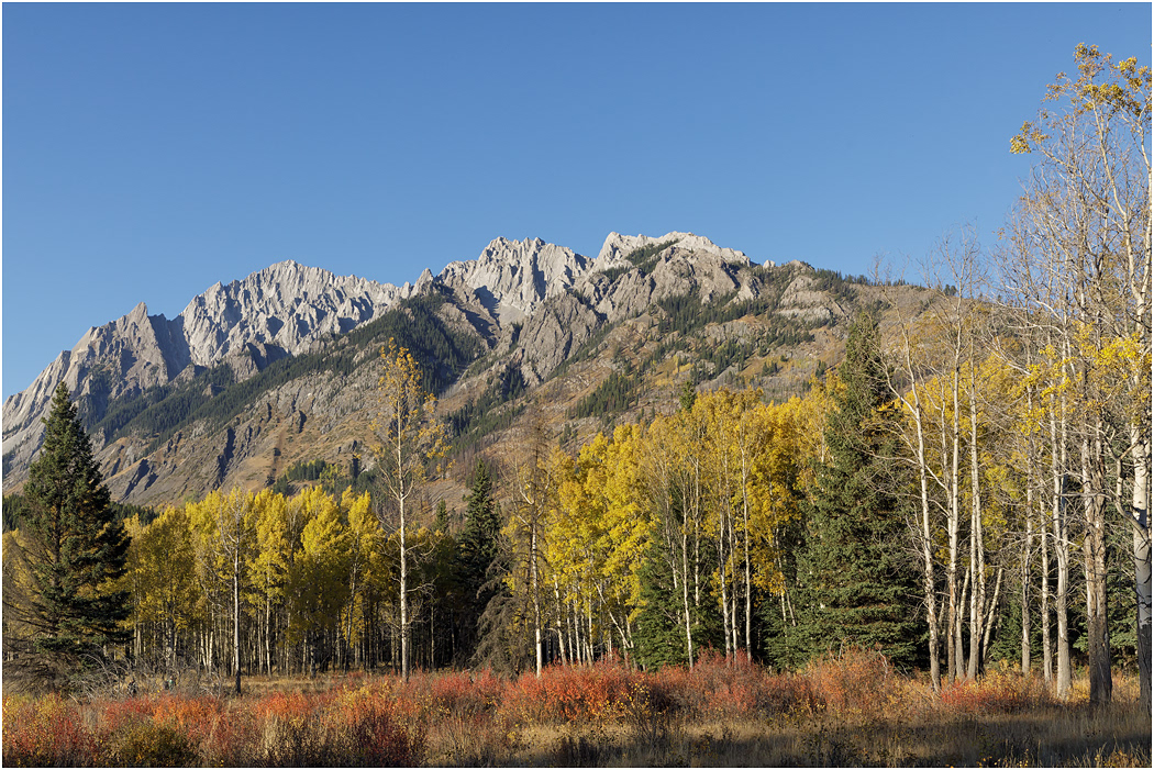 Hillsdale Meadows & the Massive Range, Banff NP