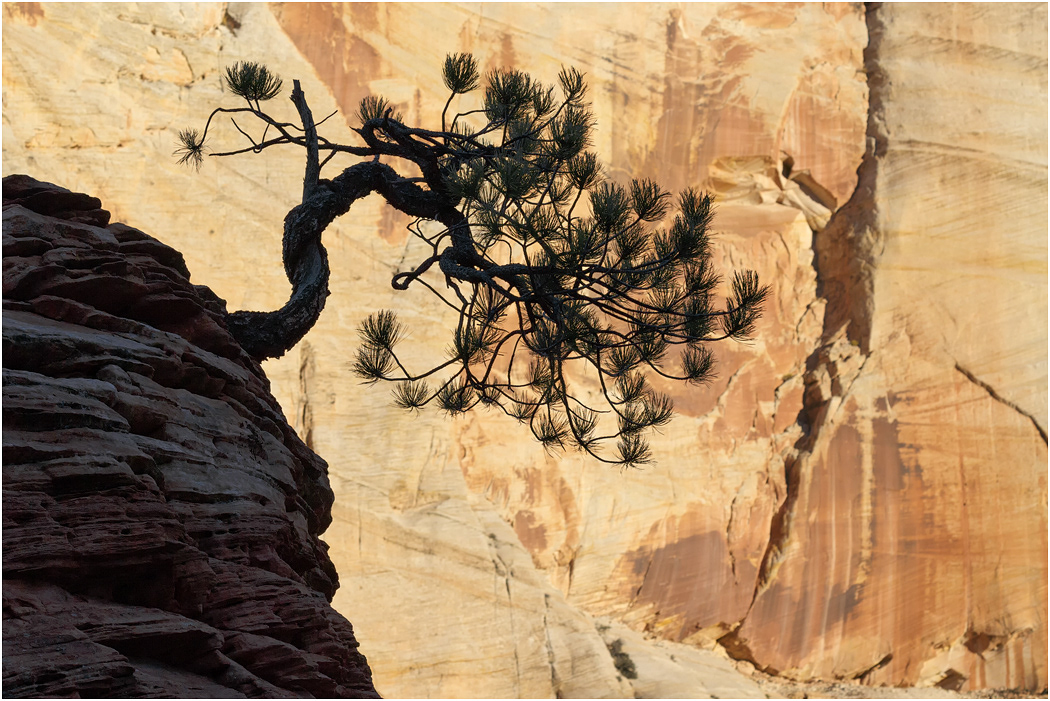 Geological Features, Utah