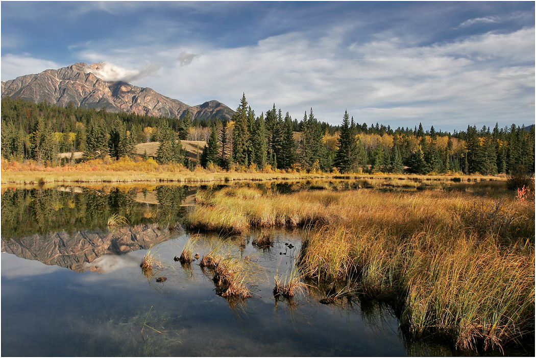 Pyramid Mountain from Cottonwood Slough, Jasper