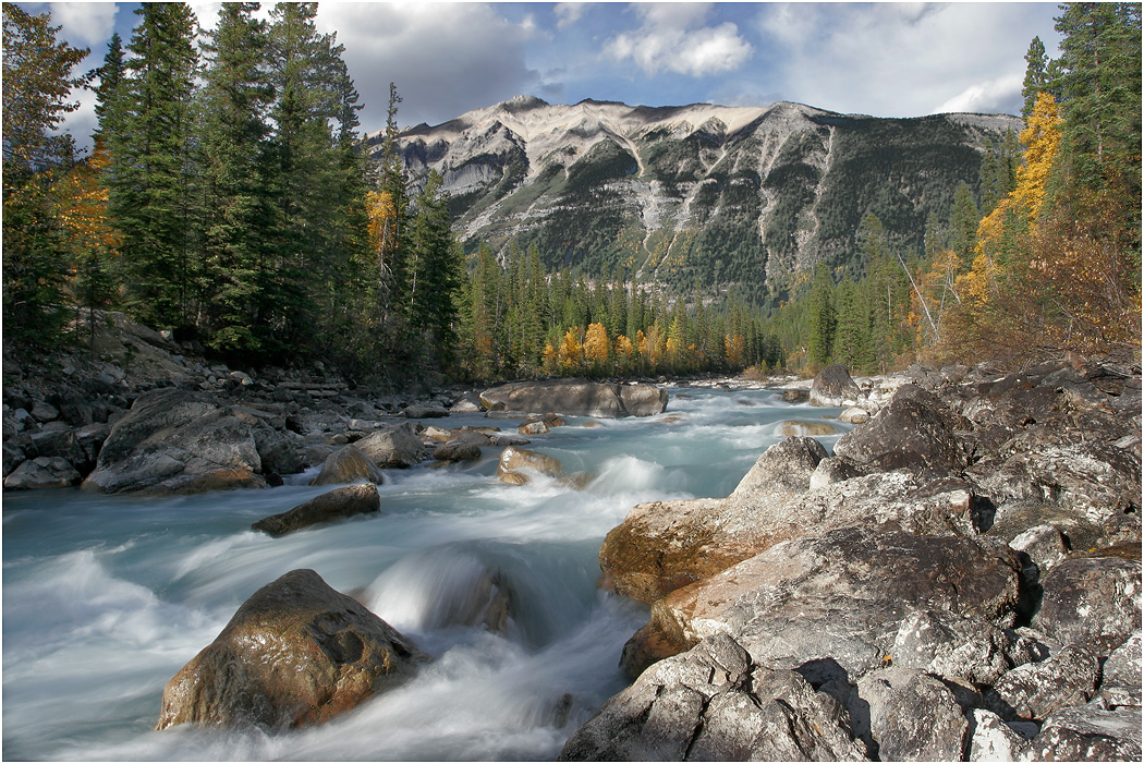 Yoho River, Yoho NP, BC