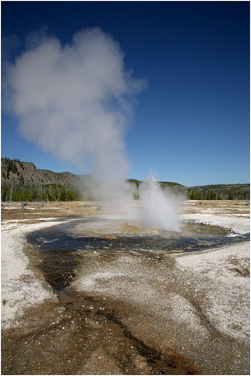 Jewel Geyser, Biscuit Basin, Yellowstone