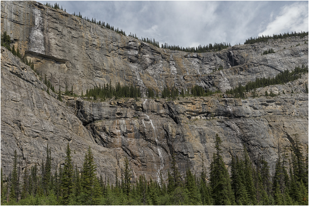The Weeping Wall, Icefields Parkway, Banff NP