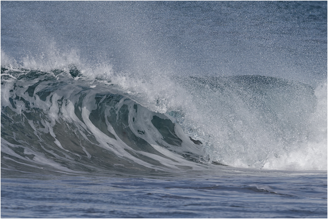 South Atlantic Waves, The Falklands