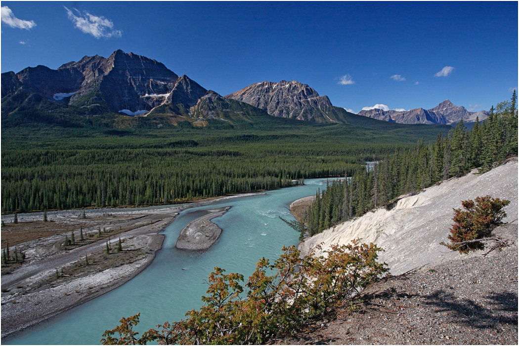 Athabasca River,  Icefields Parkway, Jasper NP