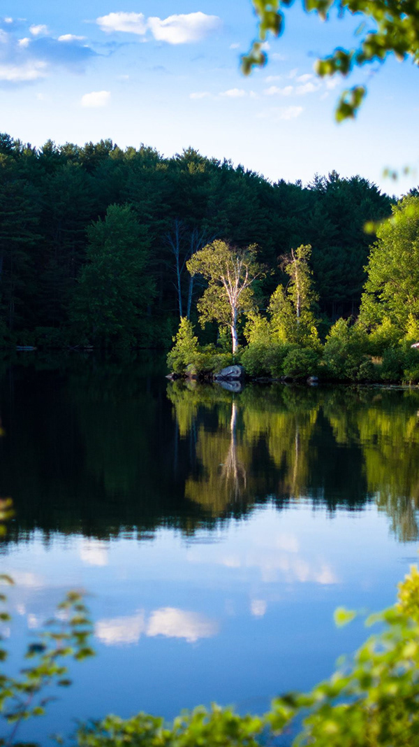 Victoria Studley Pine River Pond, New Hampshire