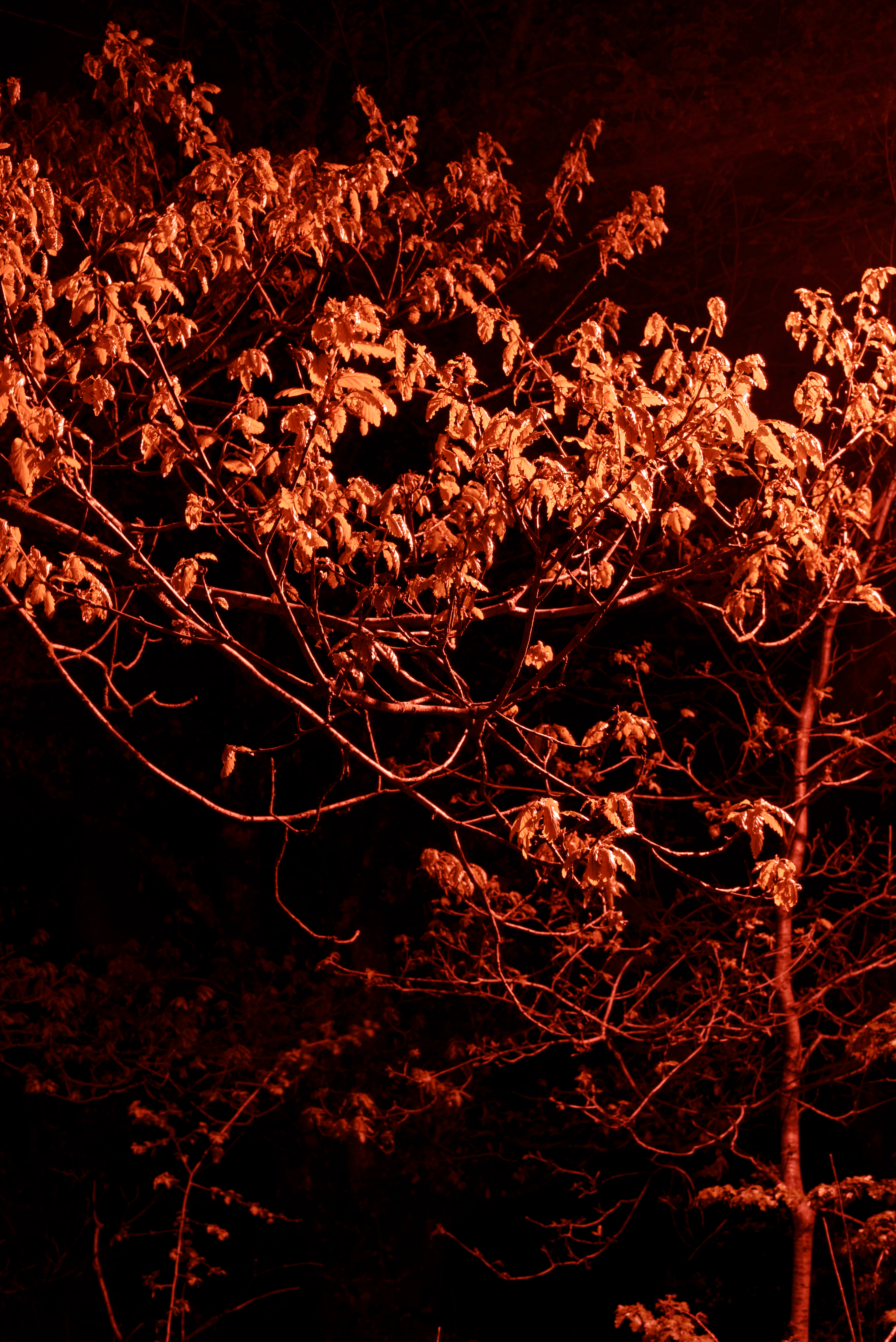 18/04/19
