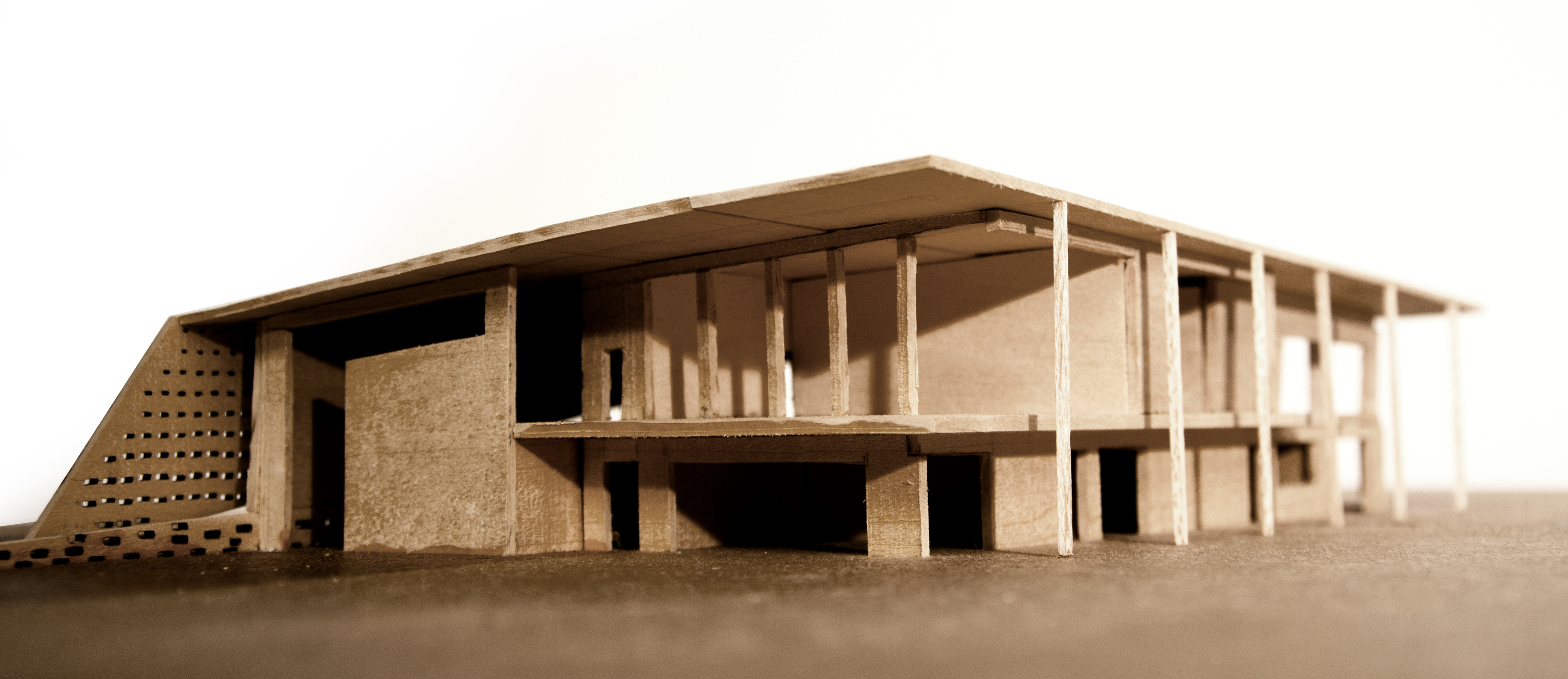 Wood Model