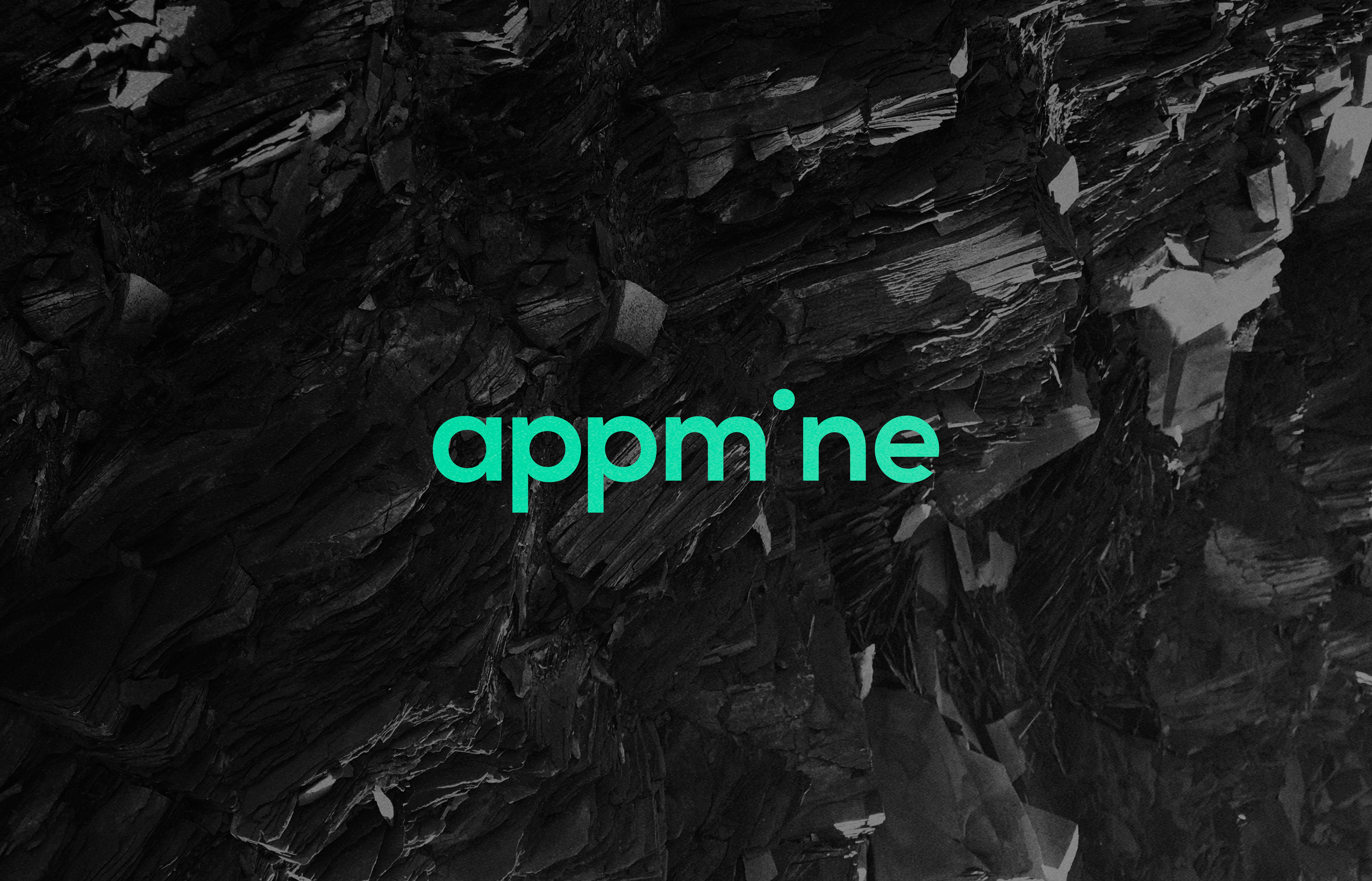 Andreea Bora design Appmine logo branding visual identity