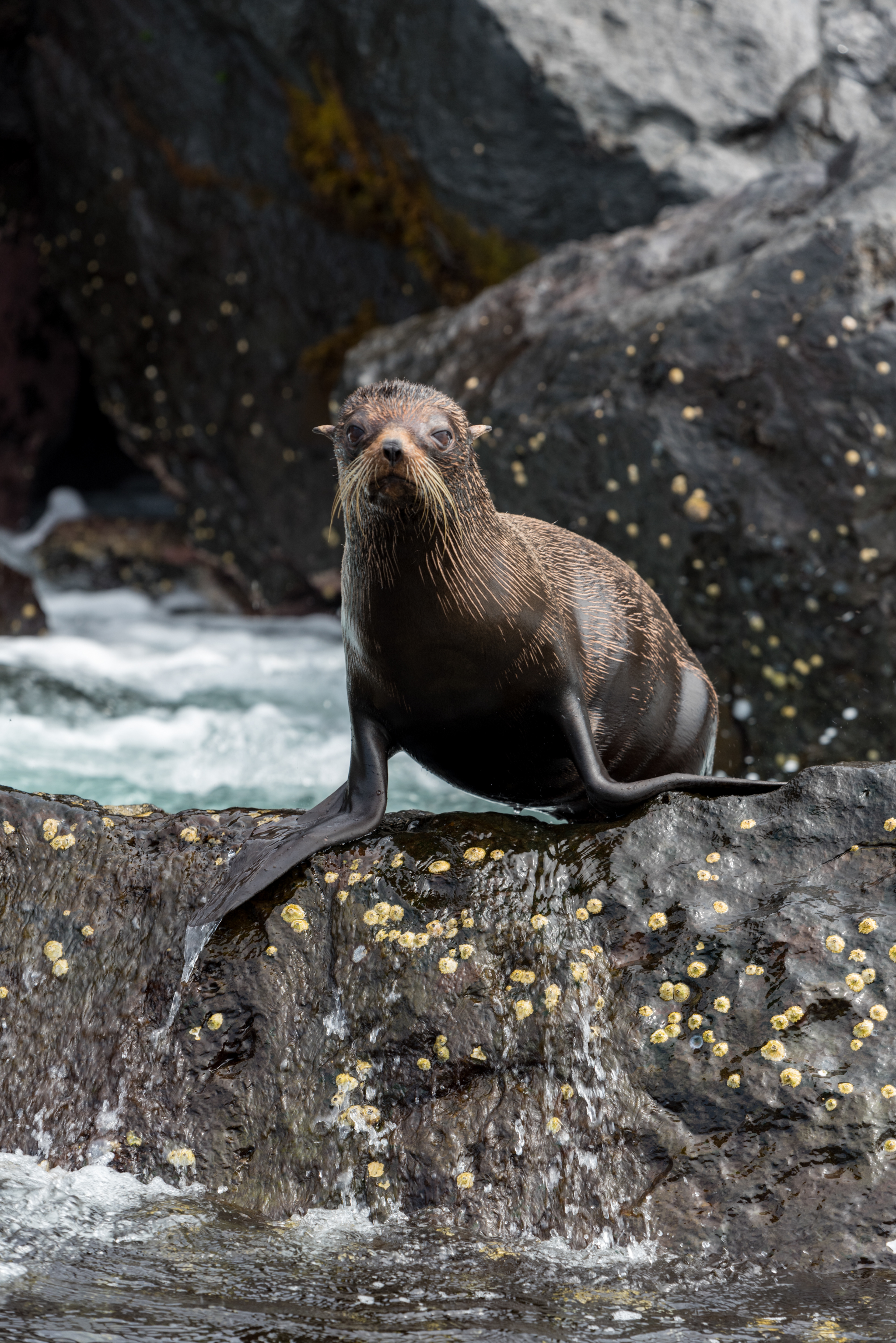 Galapagos Islands, Ecuador