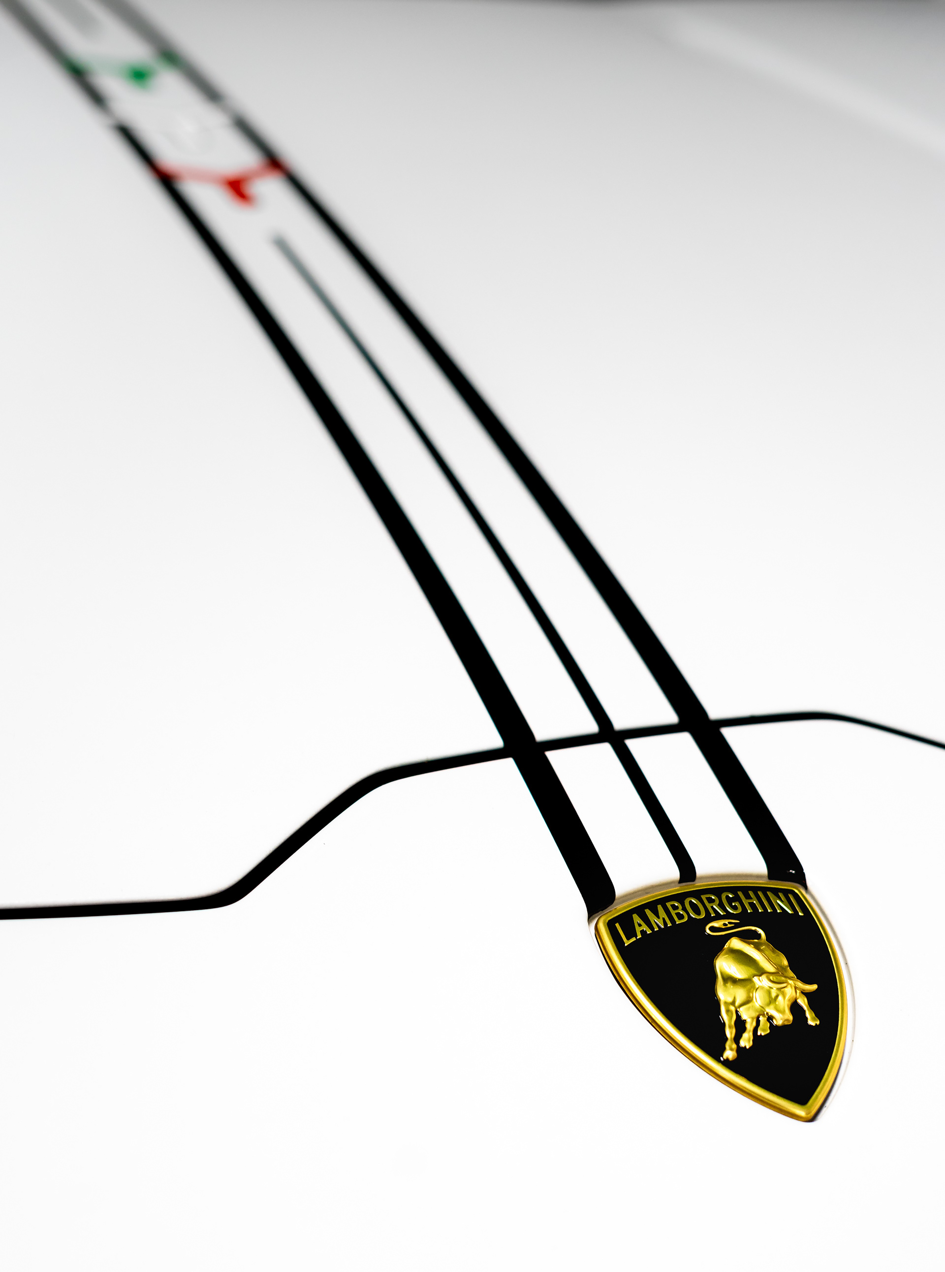 Lamborghini badge detail