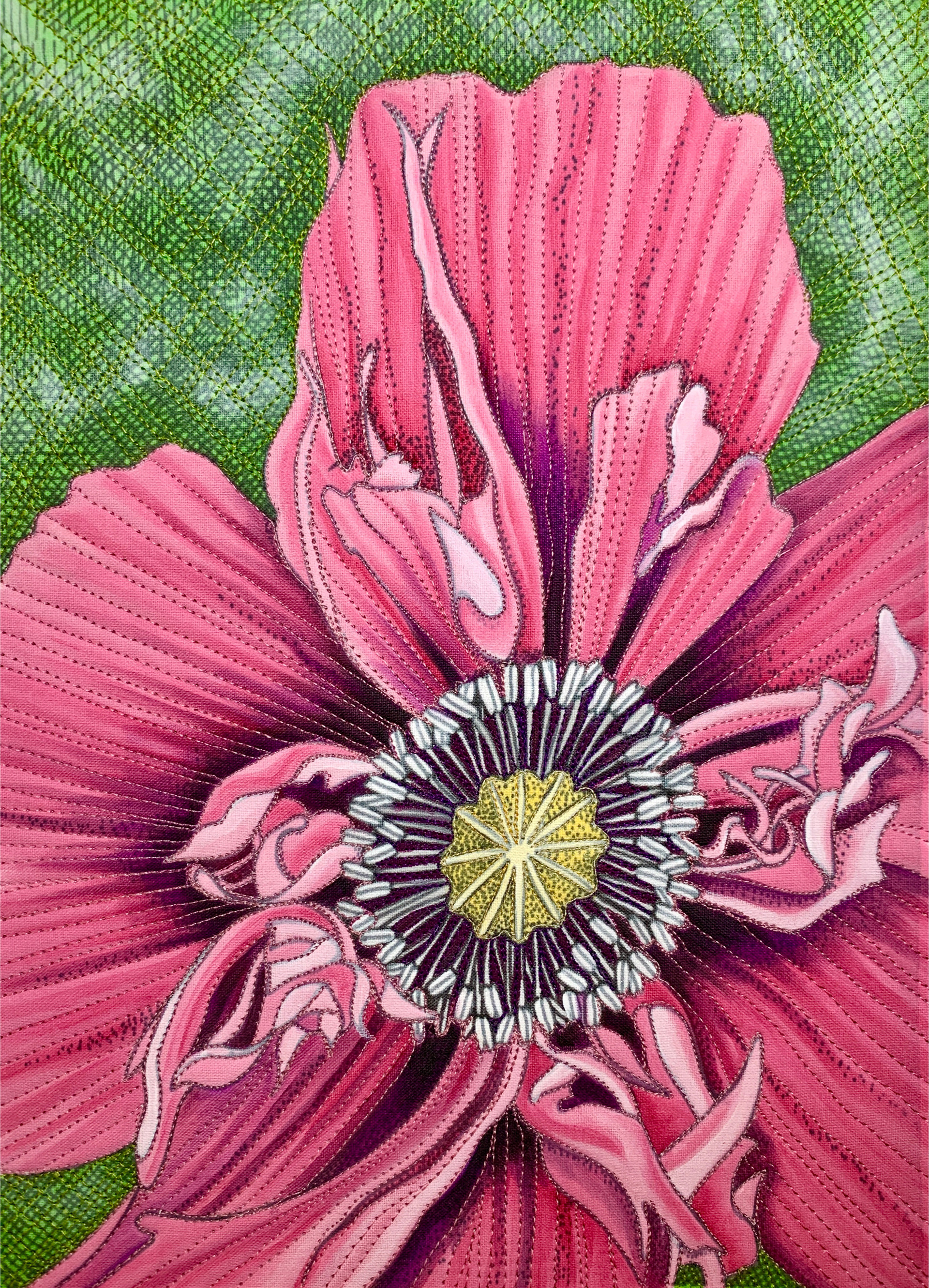 Poppy in Pink