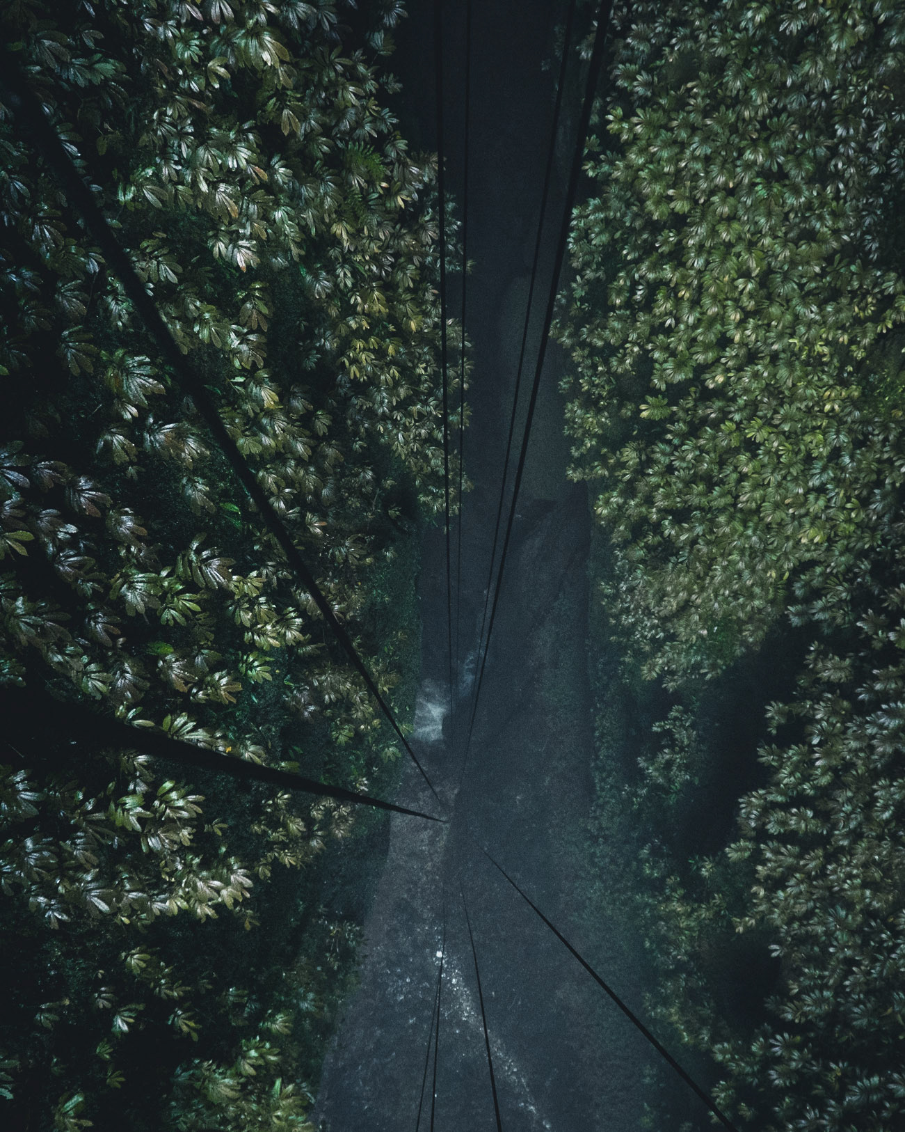 Lost World
